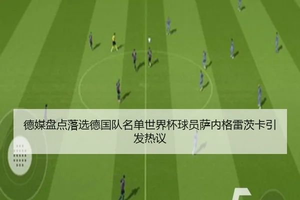 德媒盘点落选德国队名单世界杯球员萨内格雷茨卡引发热议